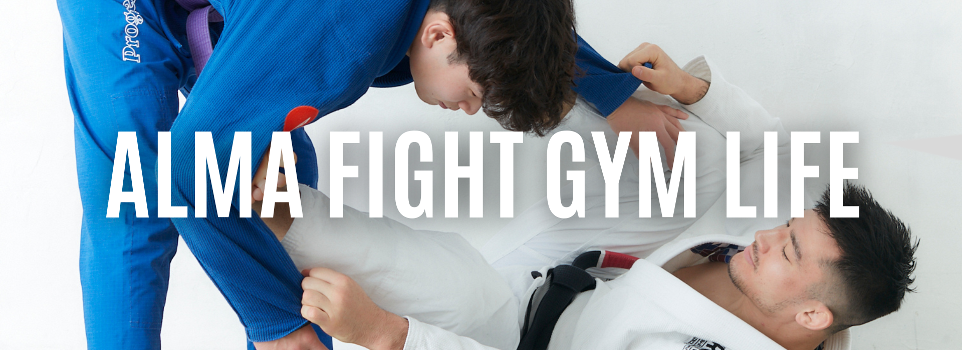 ALMA FIGHT GYM LIFE photo